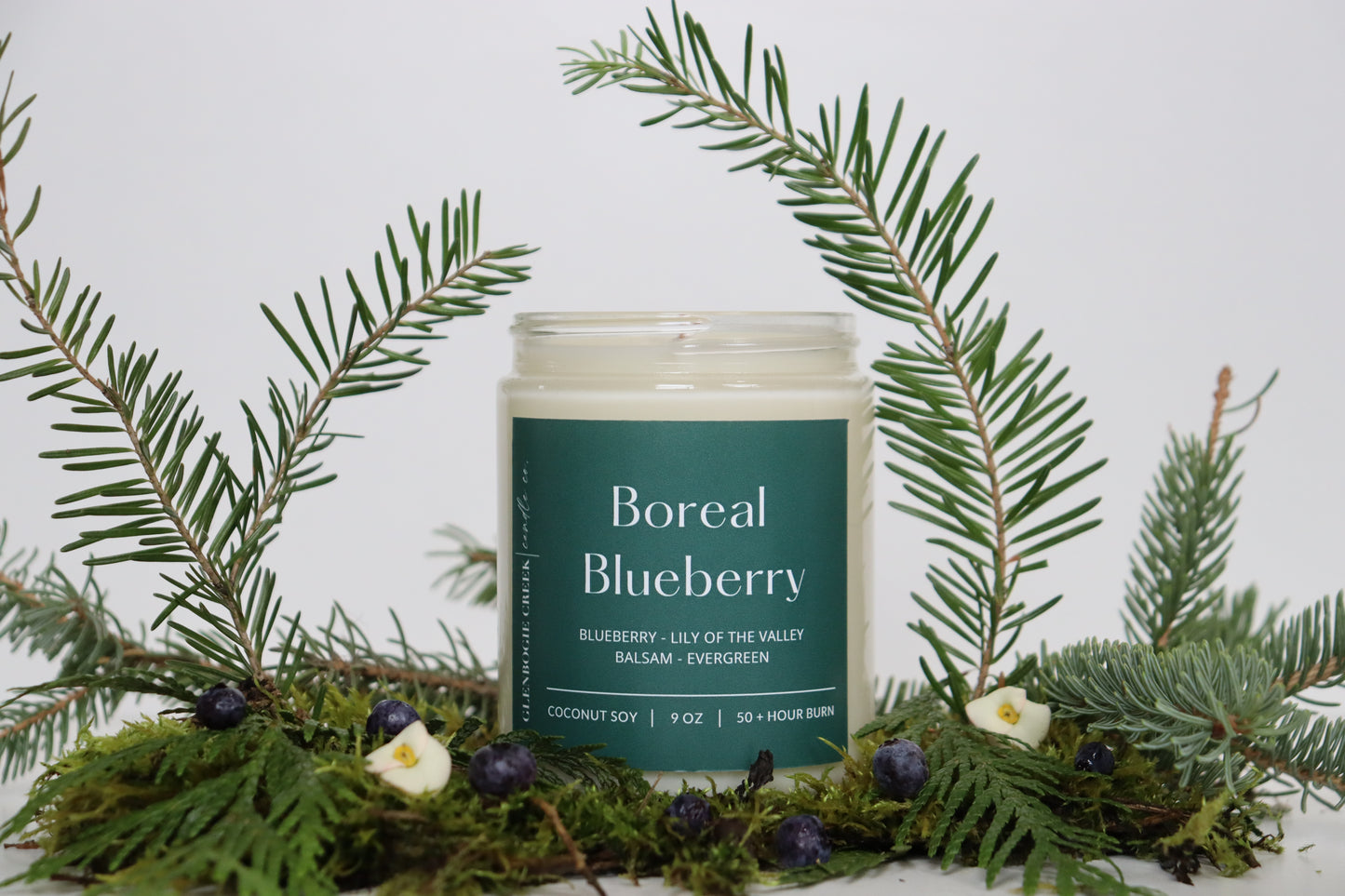 Boreal Blueberry