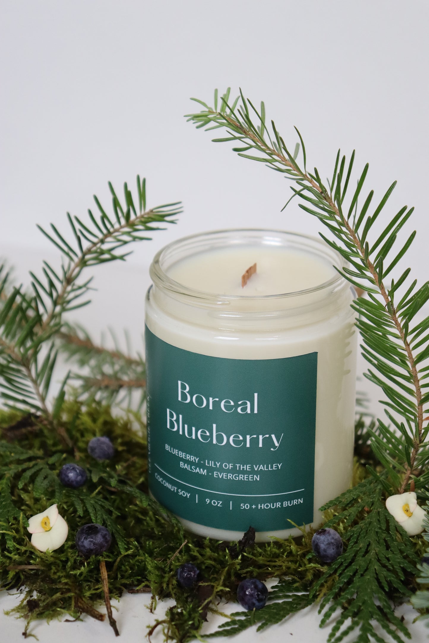 Boreal Blueberry